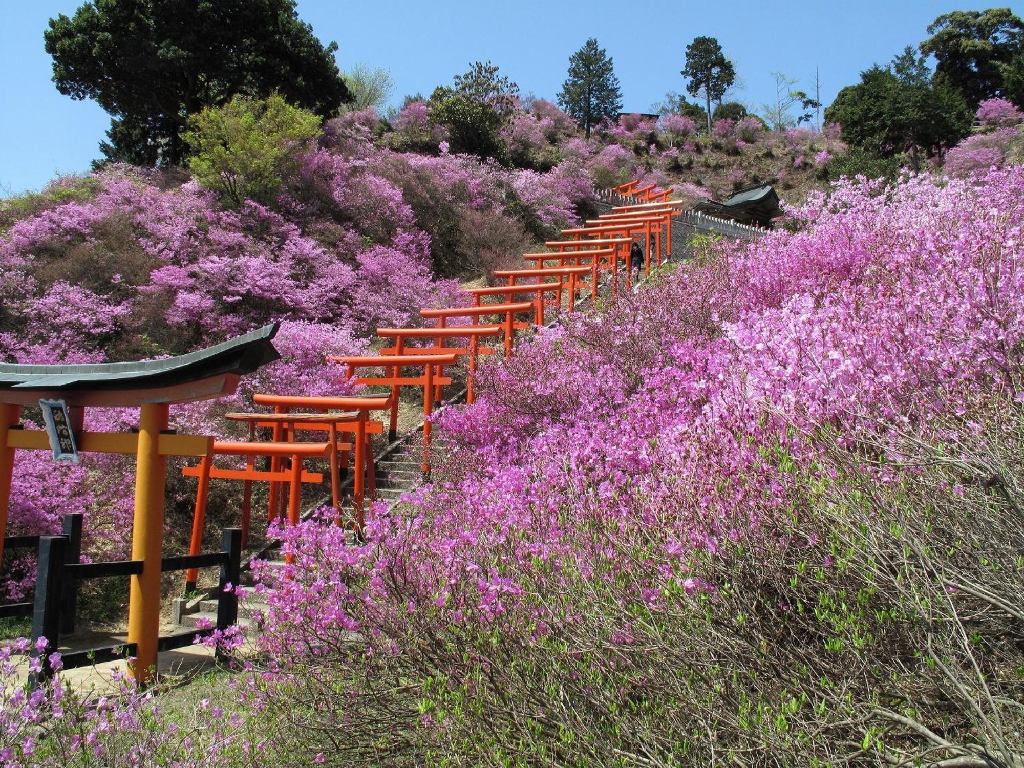 Mercure Kyoto Miyazu Resort & Spa מראה חיצוני תמונה